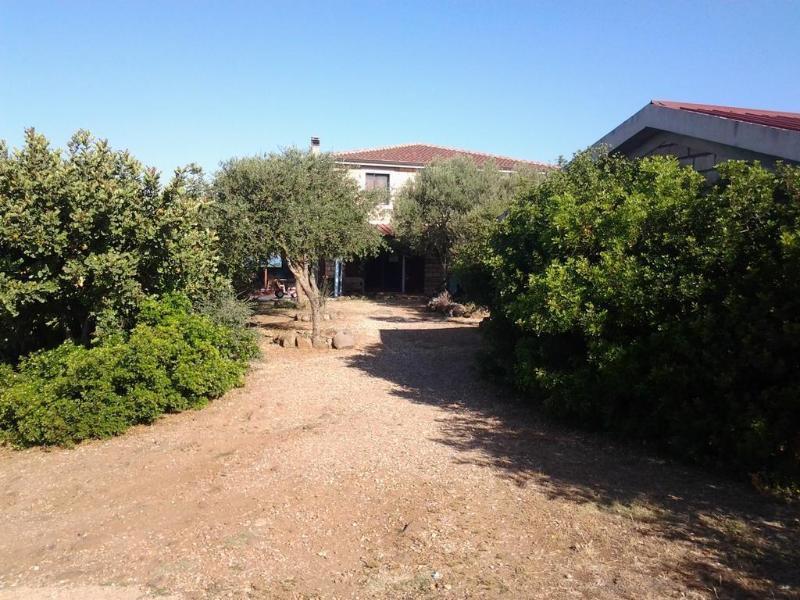 Agriturismo Sa Murta In Sennariolo-Oristano Luaran gambar