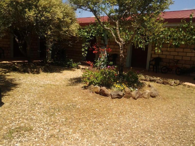 Agriturismo Sa Murta In Sennariolo-Oristano Luaran gambar