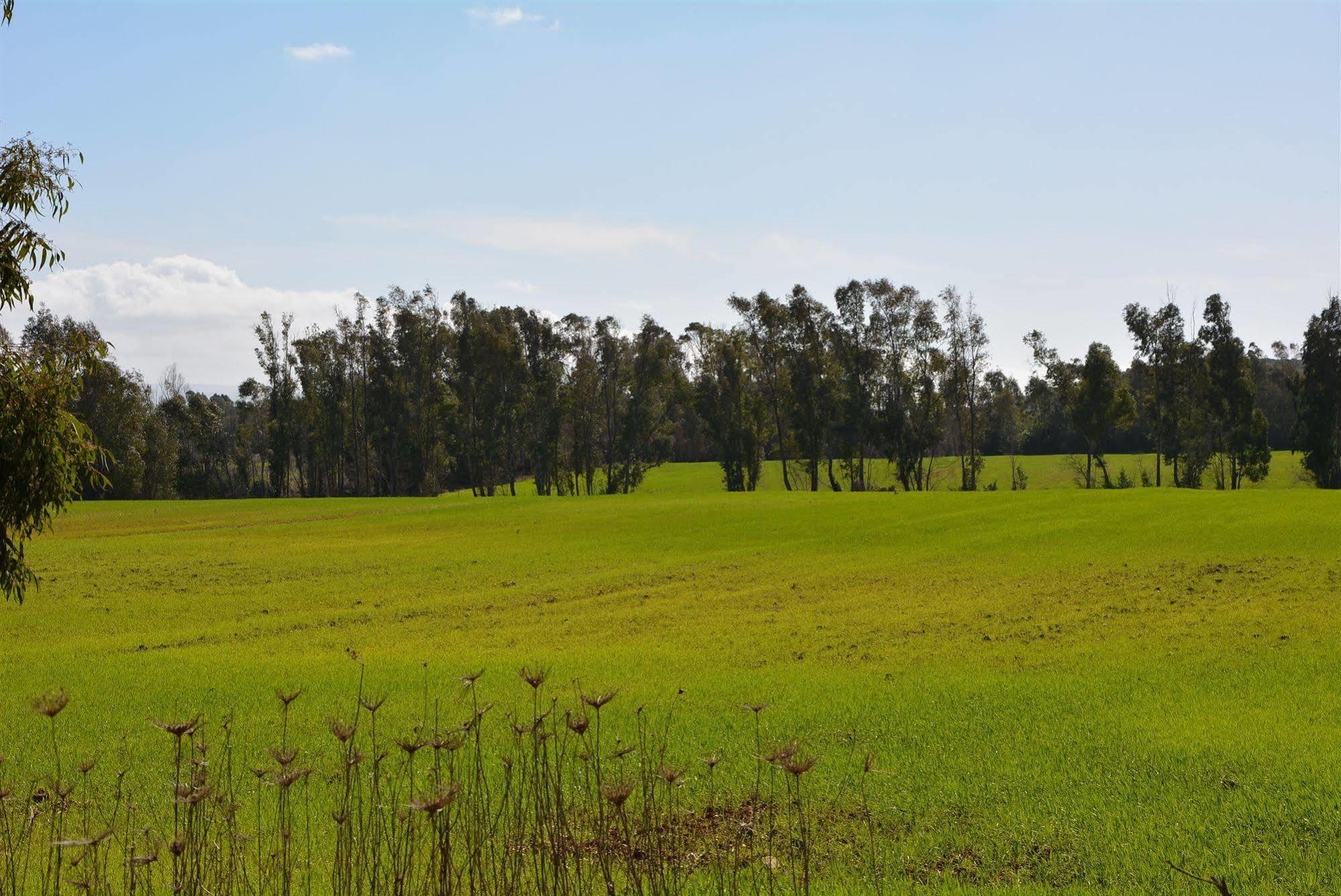 Agriturismo Sa Murta In Sennariolo-Oristano Luaran gambar